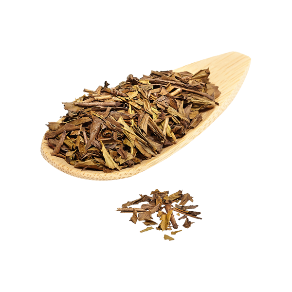 Hojicha Bancha Green Tea
